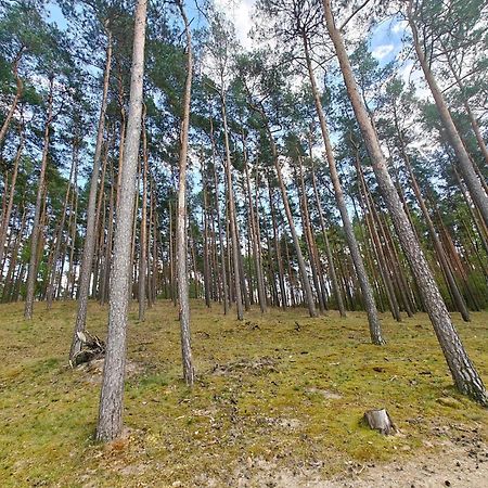 Lesna Ostoja W Centrum Puszczy Nadnoteckiej Otoczona 3 Jeziorami Miedzychod 外观 照片